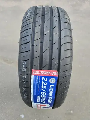 225 /55 R17 Lionlord Tyres (Highway)