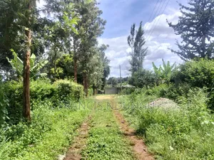 1/4 Acre Residential Land 1 Km Off Kiambu Road.