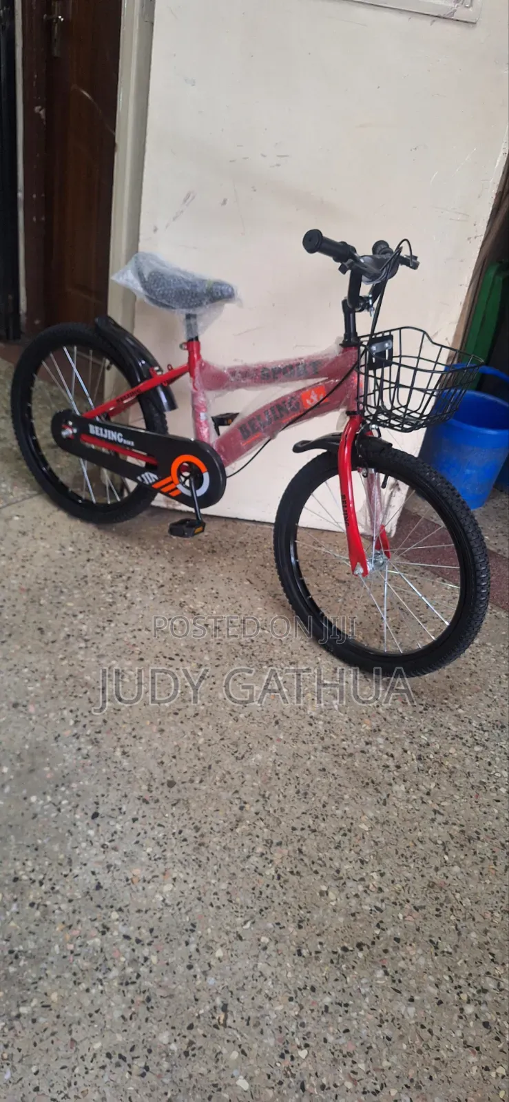 Beijing Bike Size 20