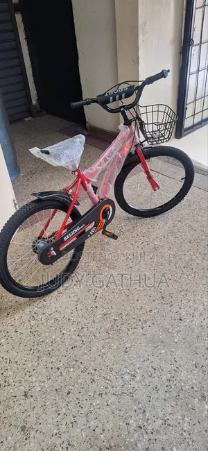 Beijing Bike Size 20