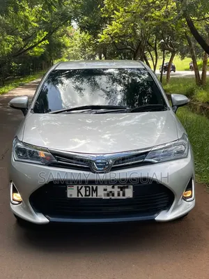 Toyota Axio 2016 Pearl