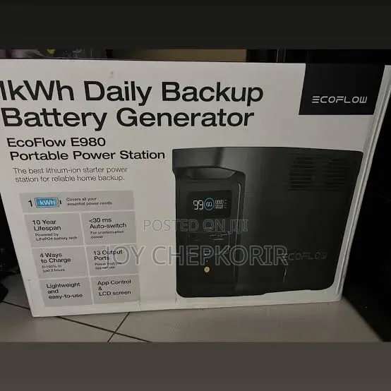 Ecoflow E980 1kwh Portable Power Station + 6 in 1 Fan Powerbank