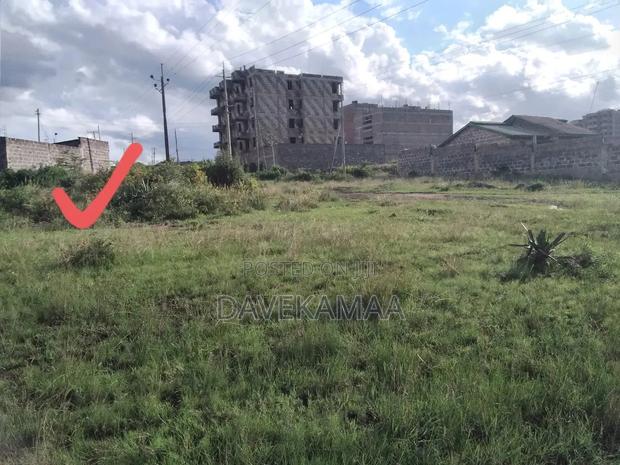 Residential Plot
