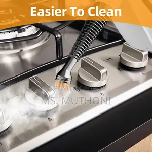 1350w Winning Star Handheld Steam Cleaner(15 PCS Accessories)