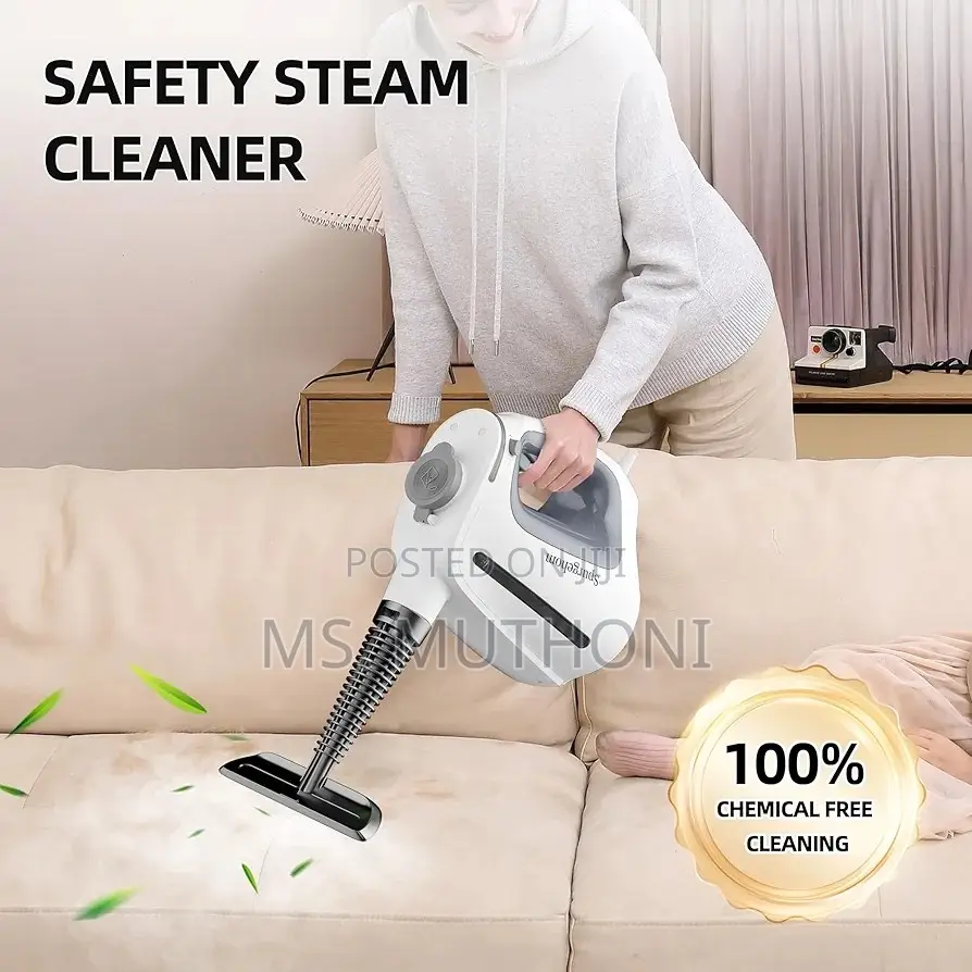 1350w Winning Star Handheld Steam Cleaner(15 PCS Accessories)