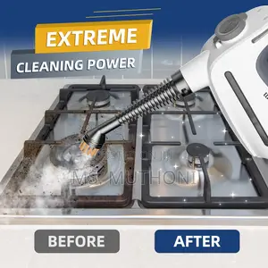 1350w Winning Star Handheld Steam Cleaner(15 PCS Accessories)