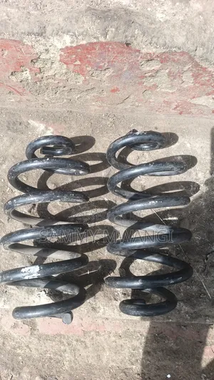 Nissan Lafesta and Serena Rear Coil Spring 