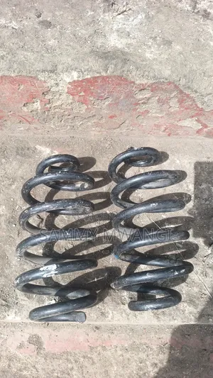 Nissan Lafesta and Serena Rear Coil Spring 