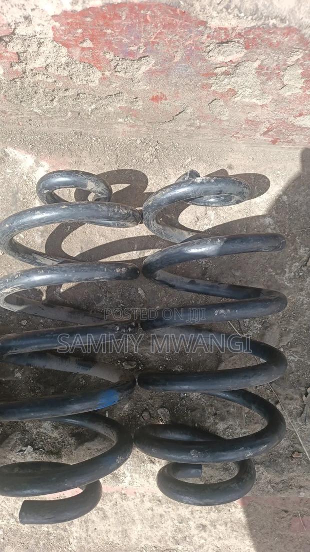 Toyota Voxy and Probox Rear Coil Spring 