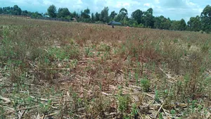 2 Acres Kapbindani After Uoe With Title