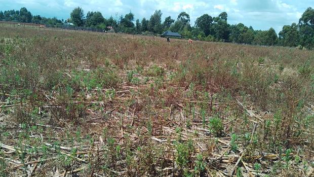 2 Acres Kapbindani After Uoe With Title - main view