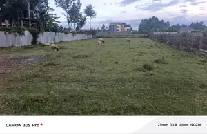 1/4 Plot Annex Pazuri With Title.