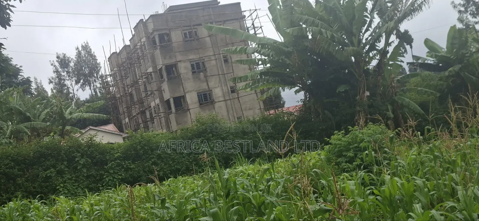 Prime Commercial Investment Opportunity
