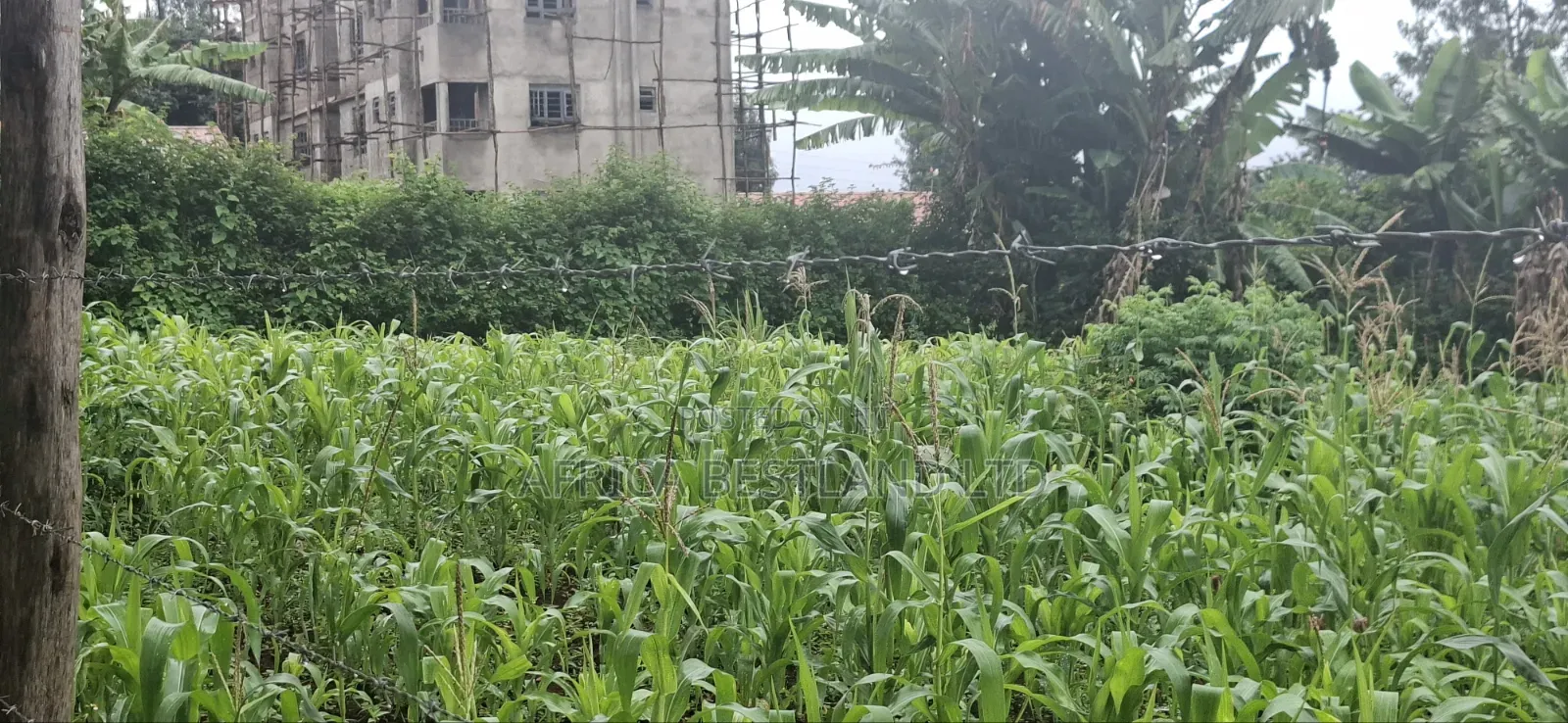 Prime Commercial Investment Opportunity