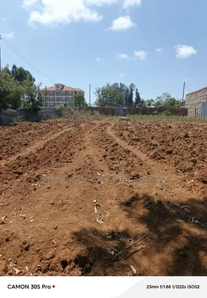 1/2 Acre Plus 1/8 Langas With Title.