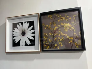 Wall Hanging Frames Plus Portrait