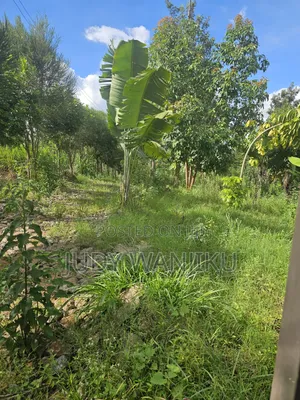 Gatundu Githaruru