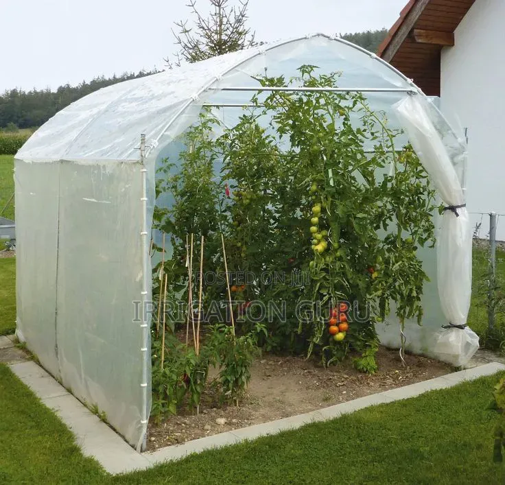 Pepper Greenhouse Cover