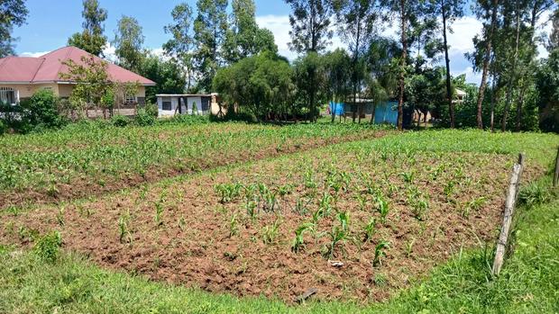 0.04ha Prime Plot for Sale at Otonglo Kisumu