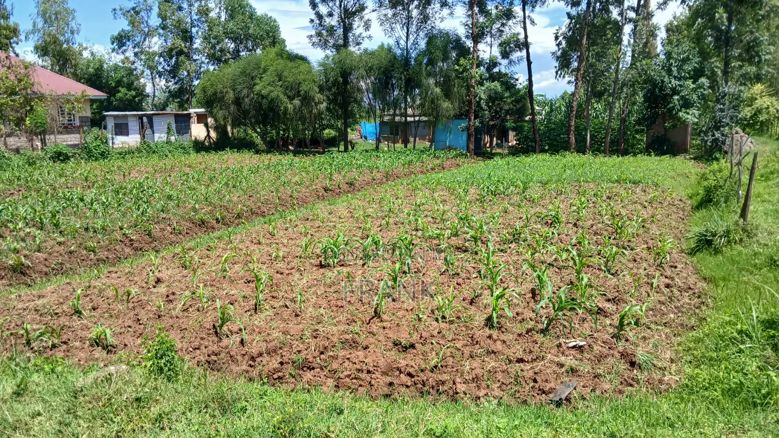 0.04ha Prime Plot for Sale at Otonglo Kisumu