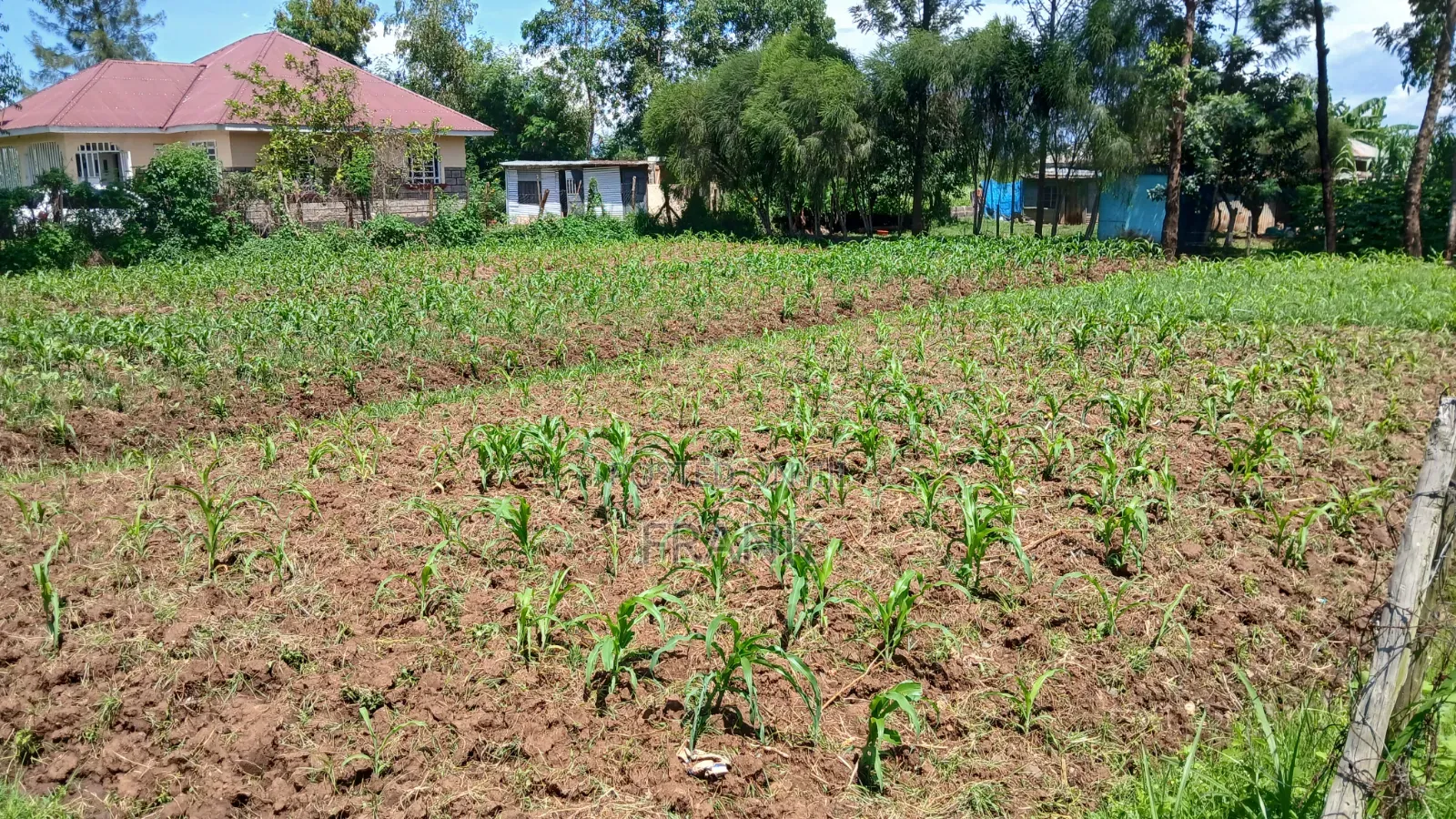 0.04ha Prime Plot for Sale at Otonglo Kisumu