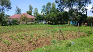 0.04ha Prime Plot for Sale at Otonglo Kisumu