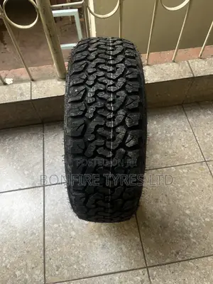 205/60r16 Everland