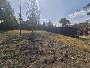 100by100 Plot In Ruai