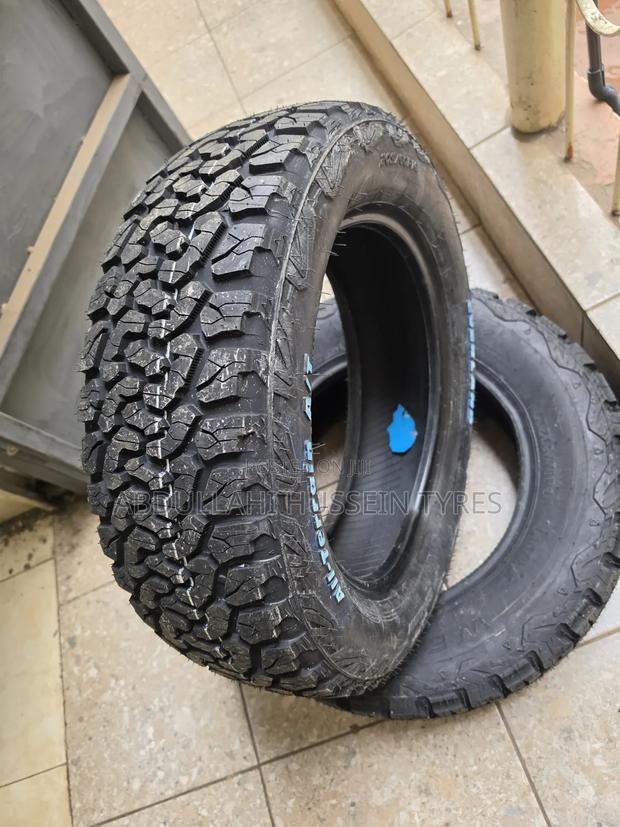205/60 R16 Everland a/T - thumbnail 2