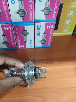 H4 Zinno Bulbs