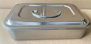 Stainless Steel Instrument Tray (10×8 Inches)