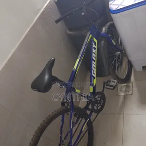 Galaxy Bicycle