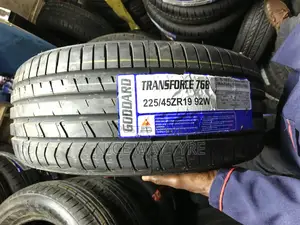 225/45r19 Goddard