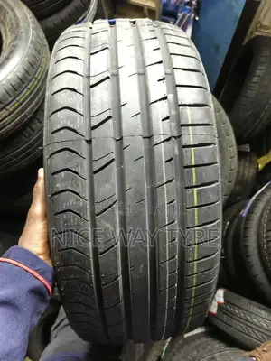 225/45r19 Goddard