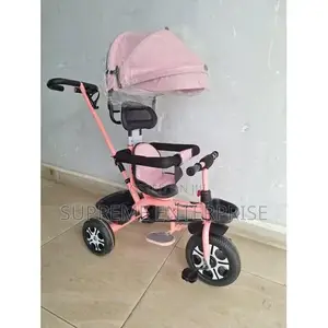 Tricircle With Push Handle and Canopy
