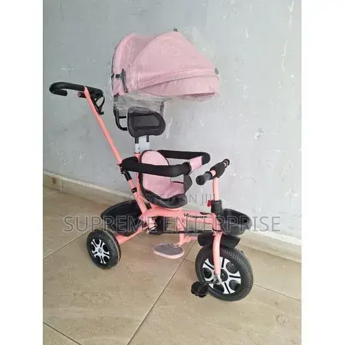 Tricircle With Push Handle and Canopy
