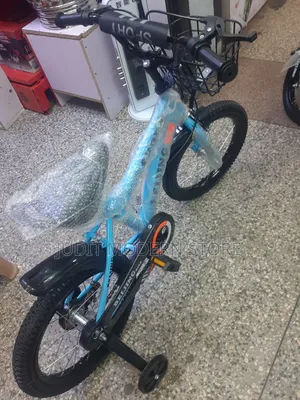 Bike Size 16