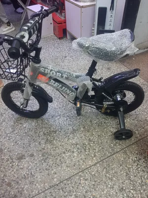 Bike Size 12