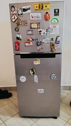 Double Door Samsung Refrigerator