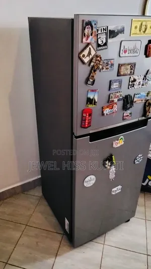 Double Door Samsung Refrigerator