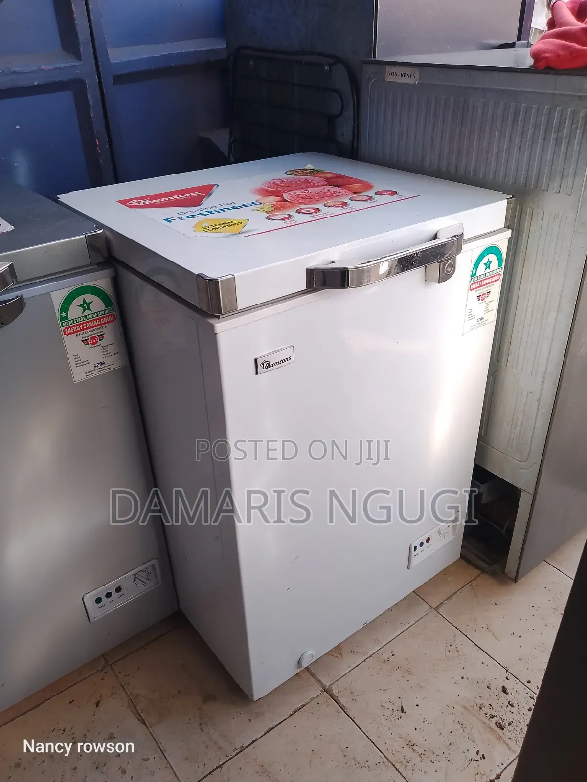 Clean Ramons Deep Freezer