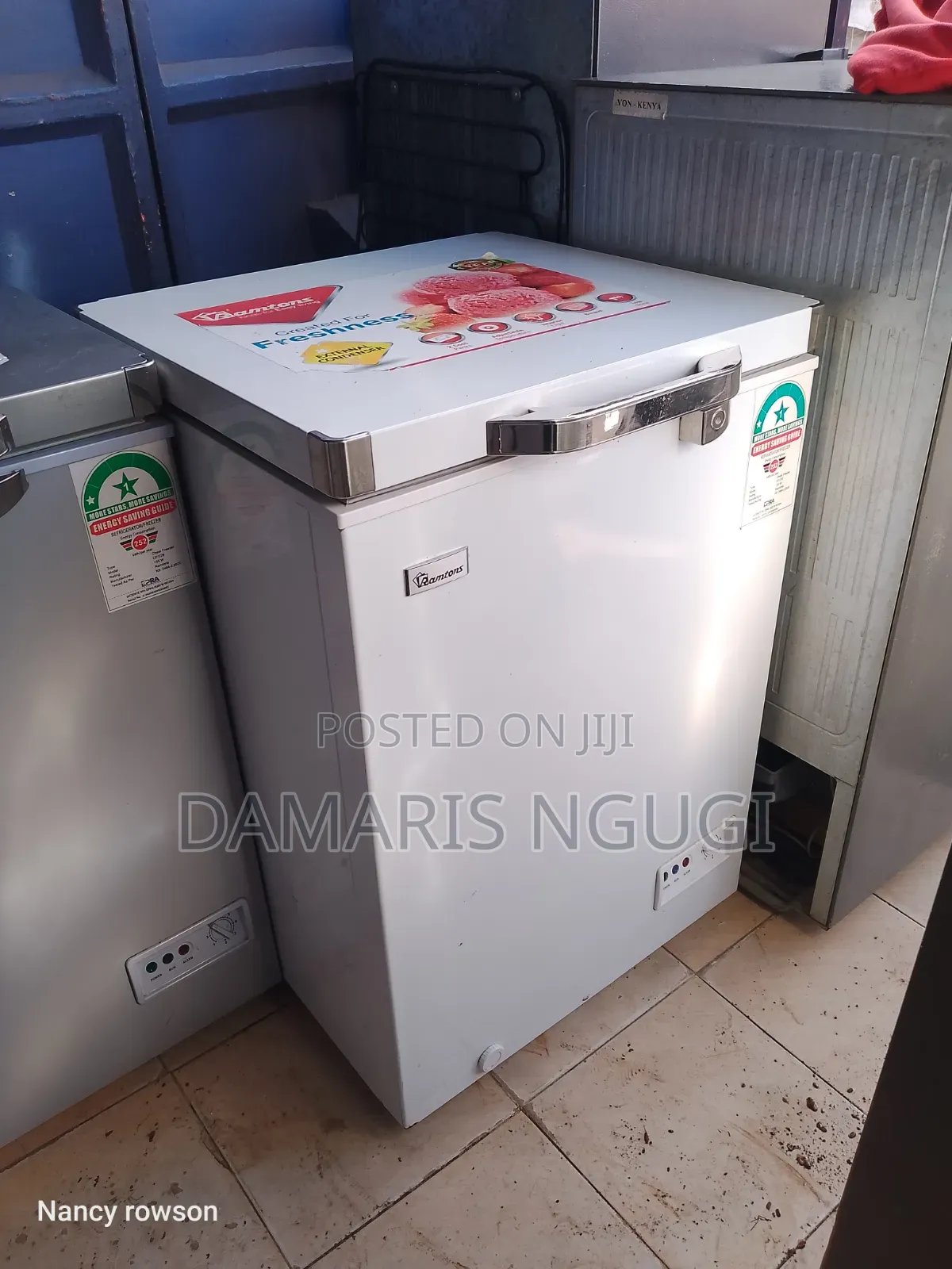 Clean Ramons Deep Freezer