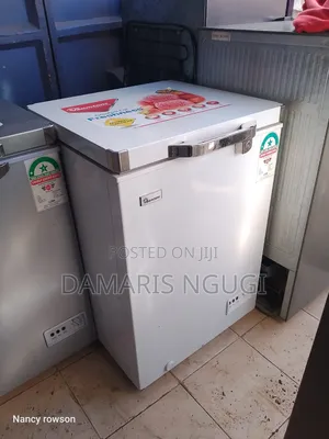 Clean Ramons Deep Freezer