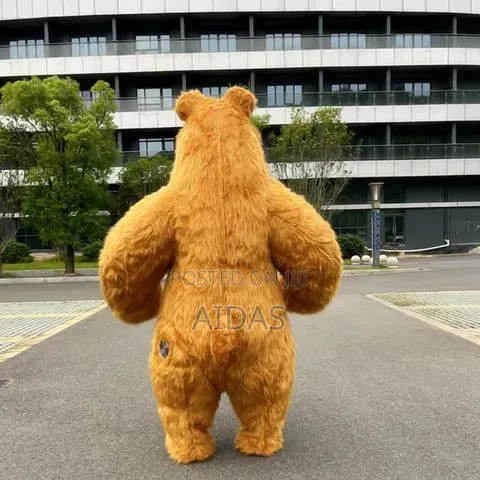 Brown Bear Mascots For Events Rental