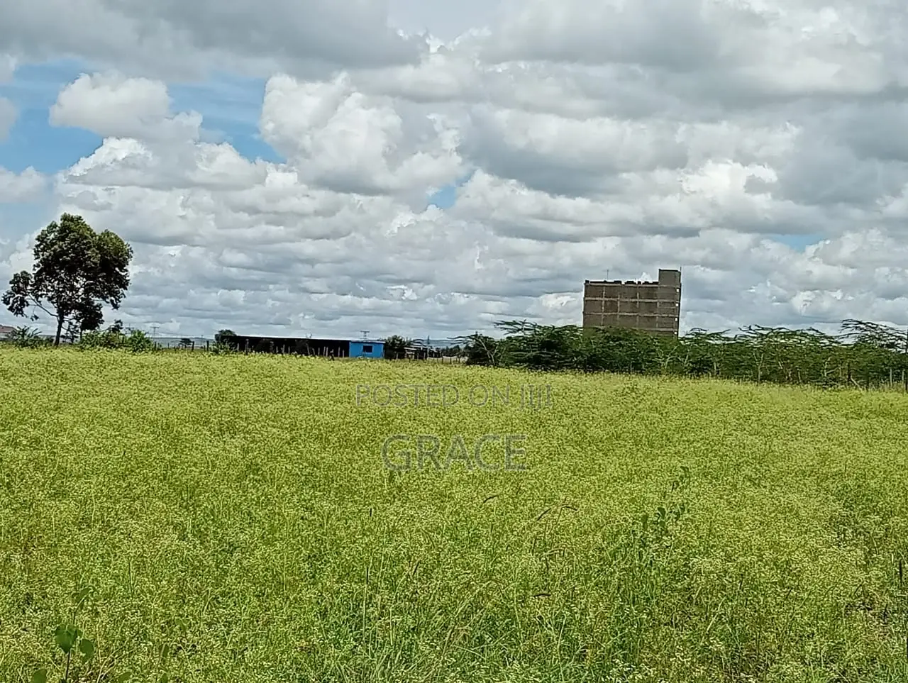 Prime 1/8 Acre Plots In Lenchani Gardens, Phase 9