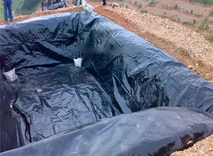 Localised, Tight, and Leak Free Dam Liners