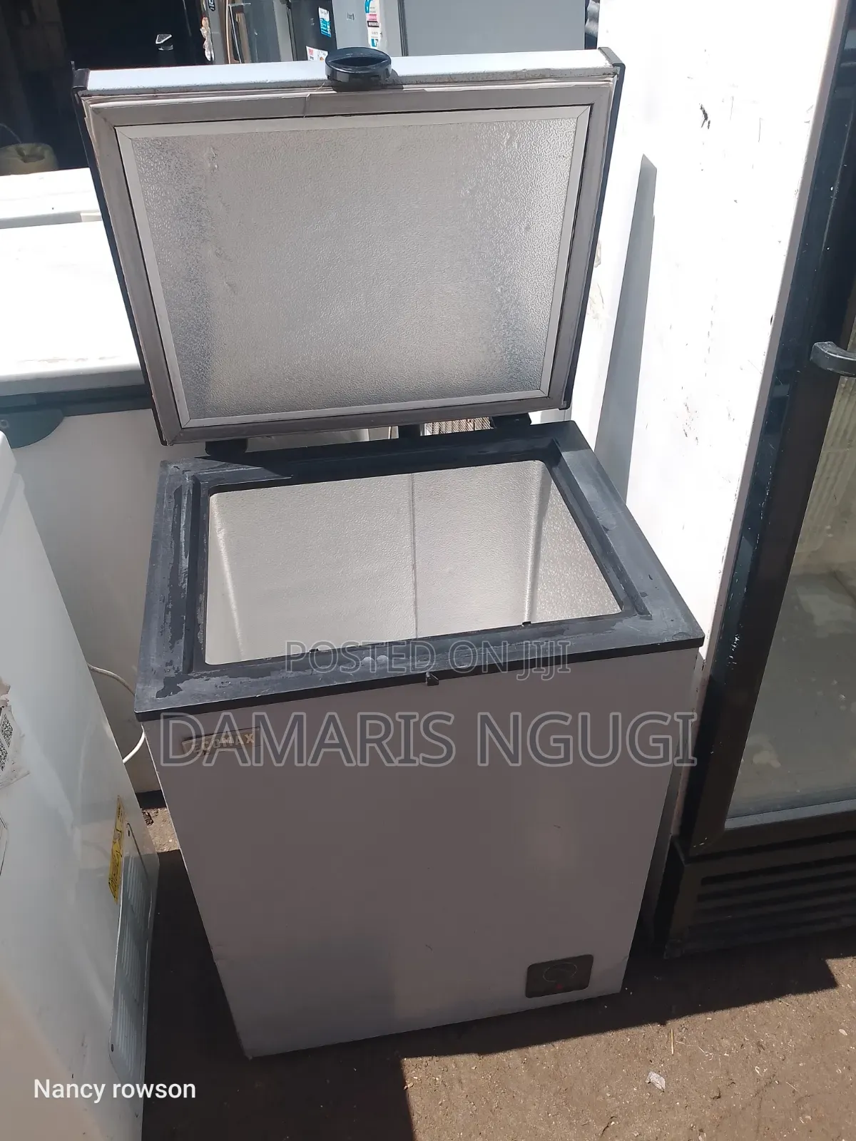 Ecomax 100litres Deep Freezer