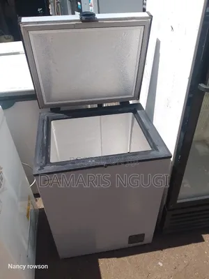 Ecomax 100litres Deep Freezer