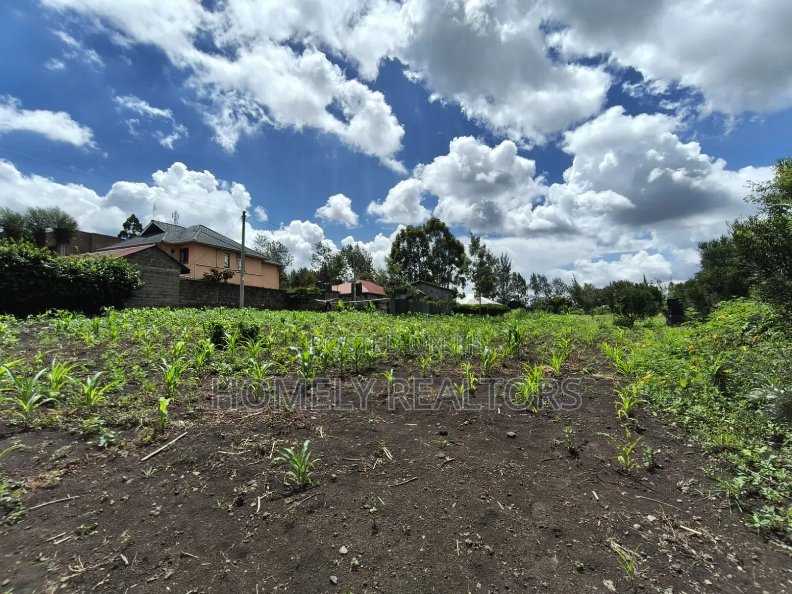 Residential Quarter Acre Corner Plot for Sale in Ngong, Olkeri
