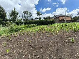 Residential Quarter Acre Corner Plot for Sale in Ngong, Olkeri